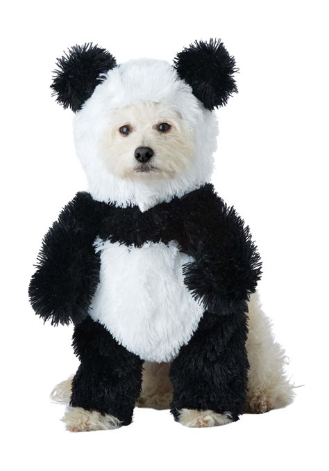 dog in a panda costume